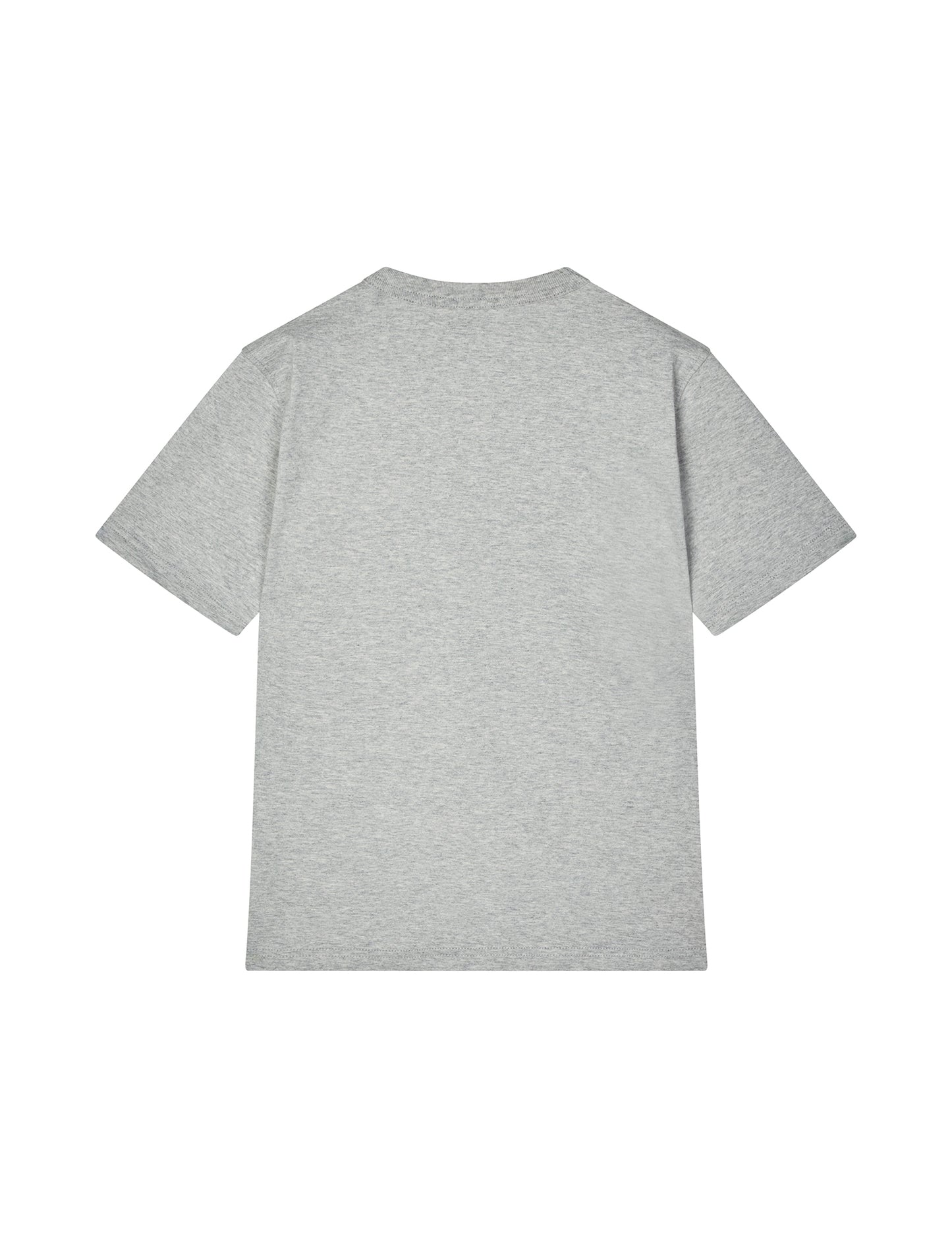 Printed Tee Theo Tee, Light Grey Melange