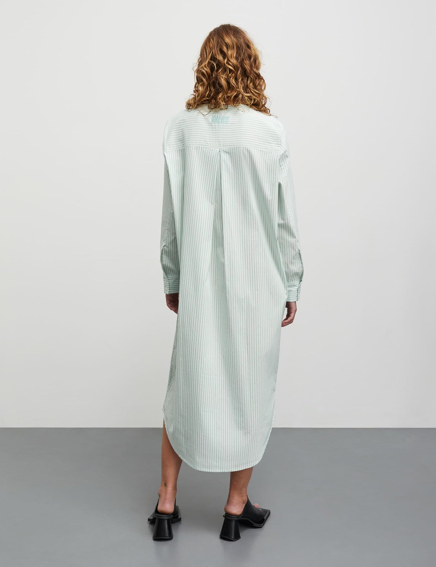 Poplinda Rosaly Dress, Pinstripe/Verdant Green